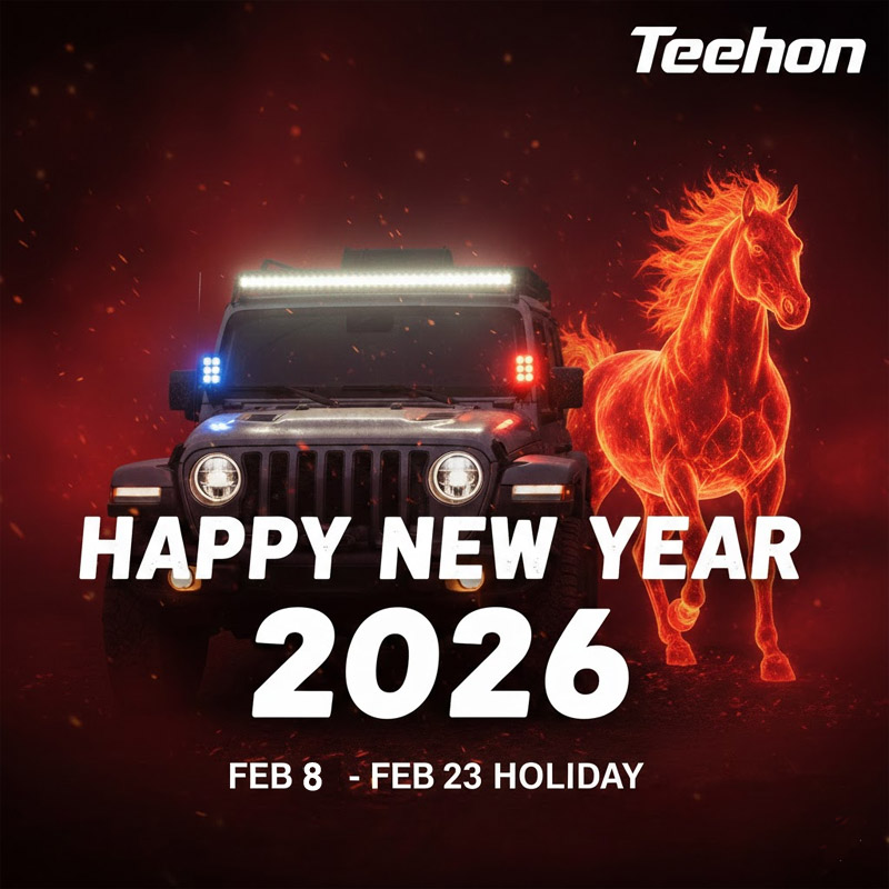 2026 Chinese lunar new year holiday  